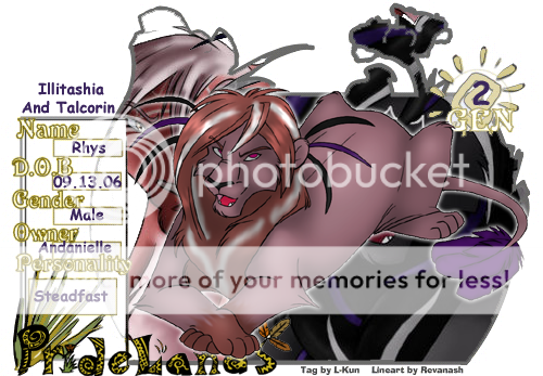 User Image